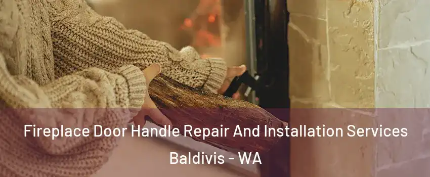 Fireplace Door Handle Repair And Installation Services Baldivis - WA