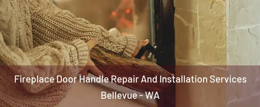 Fireplace Door Handle Repair And Installation Services Bellevue - WA