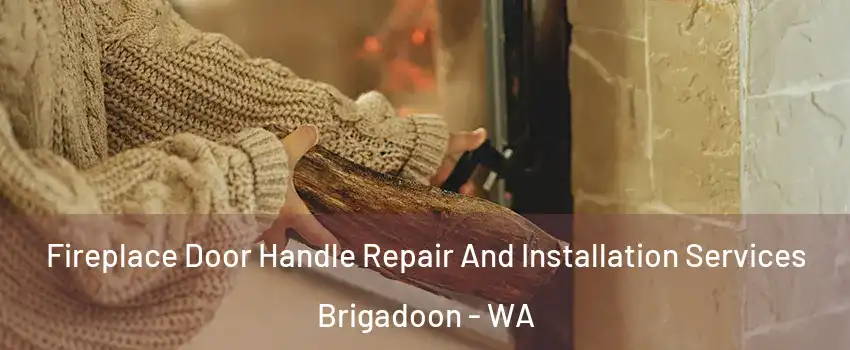 Fireplace Door Handle Repair And Installation Services Brigadoon - WA