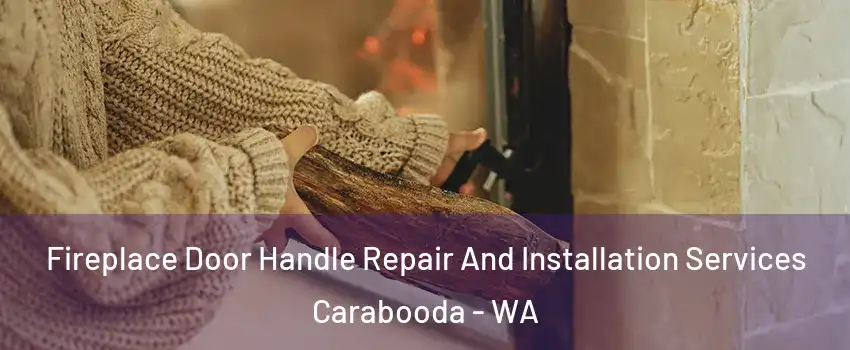 Fireplace Door Handle Repair And Installation Services Carabooda - WA