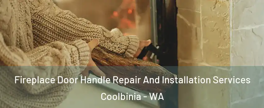 Fireplace Door Handle Repair And Installation Services Coolbinia - WA