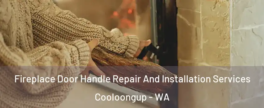 Fireplace Door Handle Repair And Installation Services Cooloongup - WA