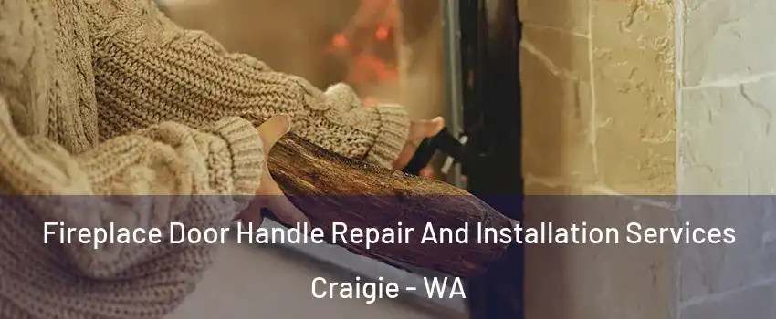 Fireplace Door Handle Repair And Installation Services Craigie - WA