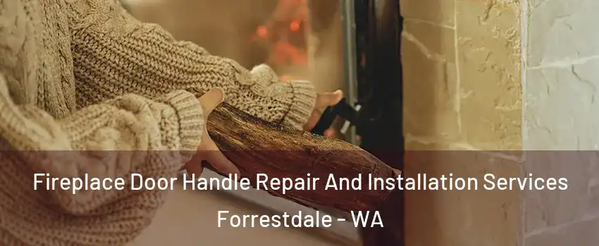 Fireplace Door Handle Repair And Installation Services Forrestdale - WA
