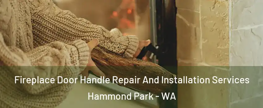 Fireplace Door Handle Repair And Installation Services Hammond Park - WA