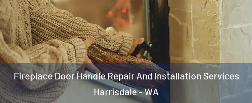 Fireplace Door Handle Repair And Installation Services Harrisdale - WA