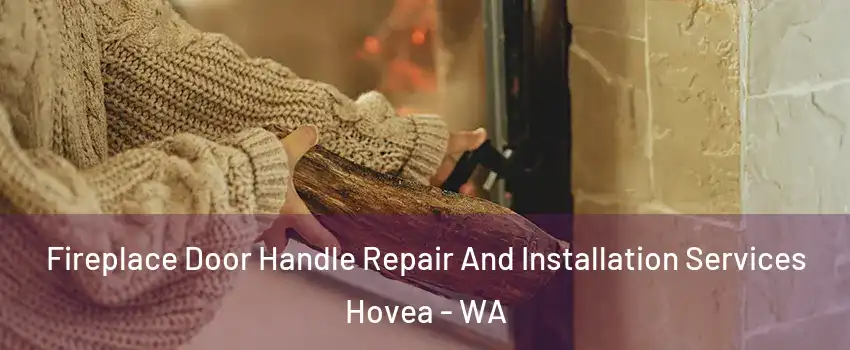 Fireplace Door Handle Repair And Installation Services Hovea - WA