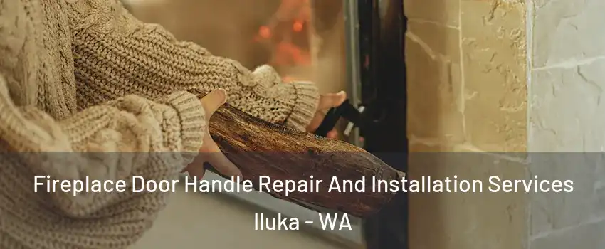 Fireplace Door Handle Repair And Installation Services Iluka - WA