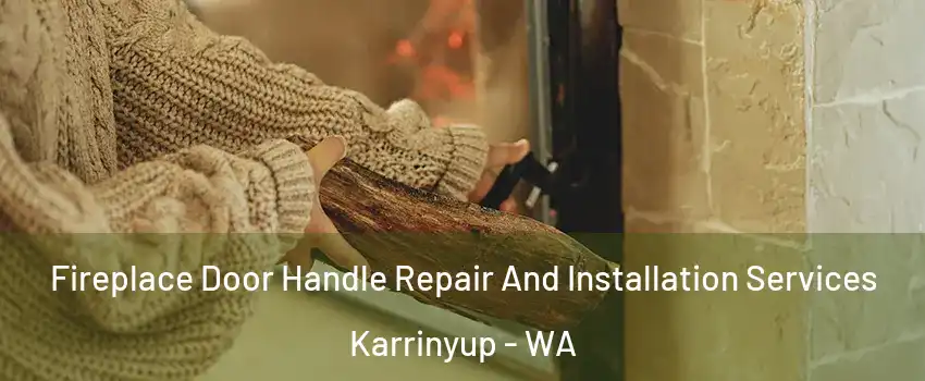 Fireplace Door Handle Repair And Installation Services Karrinyup - WA