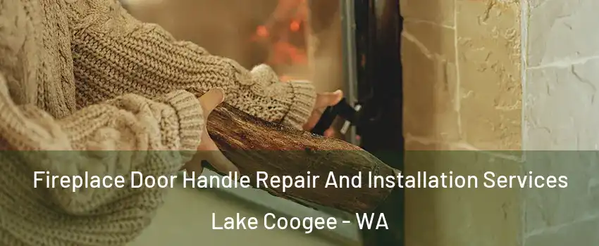 Fireplace Door Handle Repair And Installation Services Lake Coogee - WA