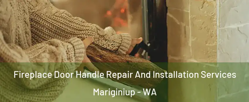Fireplace Door Handle Repair And Installation Services Mariginiup - WA