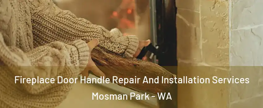 Fireplace Door Handle Repair And Installation Services Mosman Park - WA