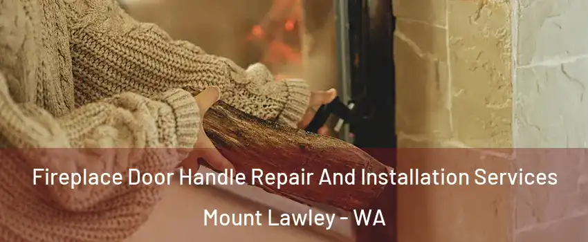 Fireplace Door Handle Repair And Installation Services Mount Lawley - WA