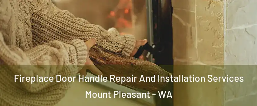 Fireplace Door Handle Repair And Installation Services Mount Pleasant - WA