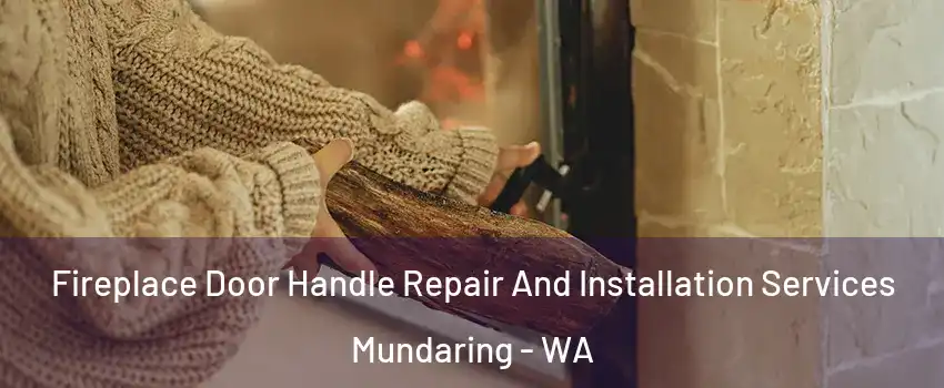 Fireplace Door Handle Repair And Installation Services Mundaring - WA