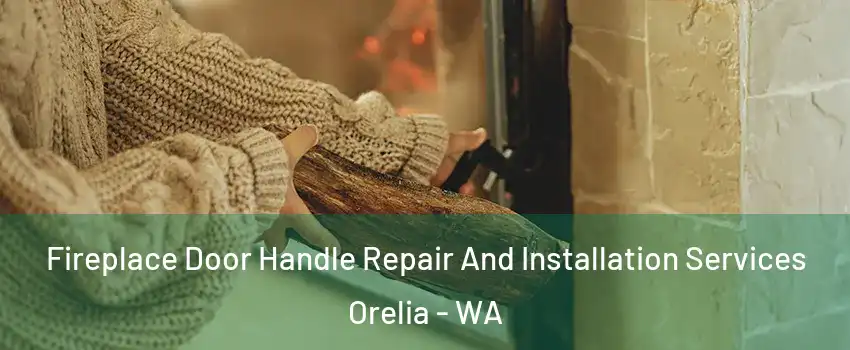 Fireplace Door Handle Repair And Installation Services Orelia - WA