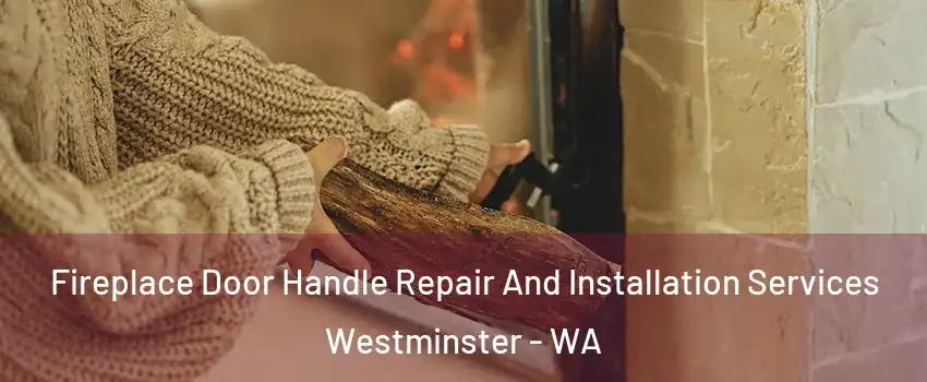Fireplace Door Handle Repair And Installation Services Westminster - WA