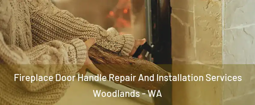 Fireplace Door Handle Repair And Installation Services Woodlands - WA