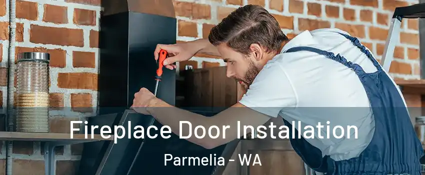 Fireplace Door Installation Parmelia - WA