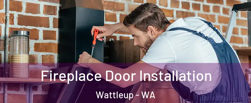 Fireplace Door Installation Wattleup - WA