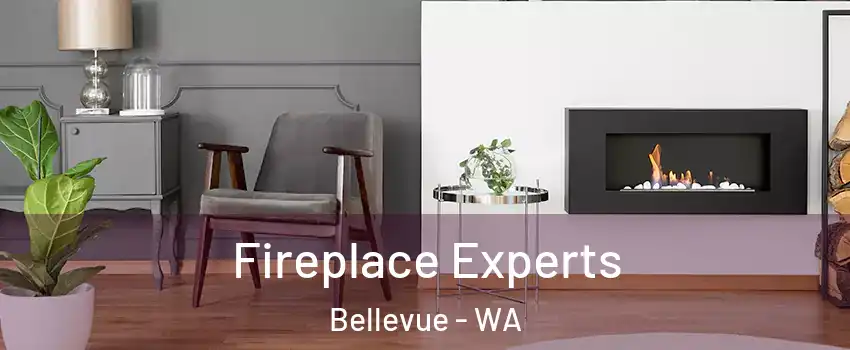 Fireplace Experts Bellevue - WA
