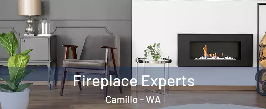 Fireplace Experts Camillo - WA