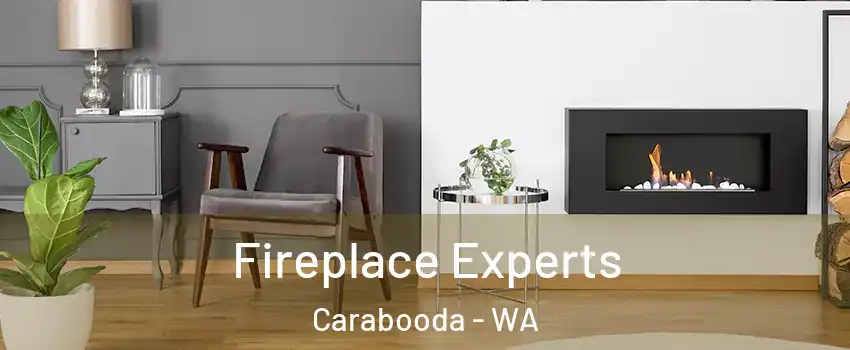 Fireplace Experts Carabooda - WA