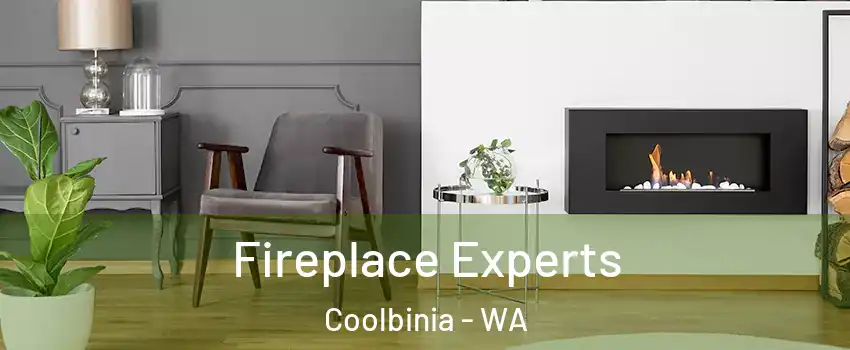 Fireplace Experts Coolbinia - WA