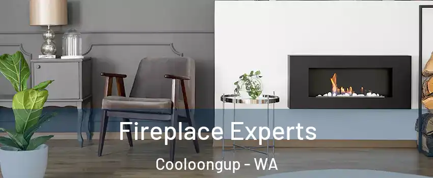 Fireplace Experts Cooloongup - WA