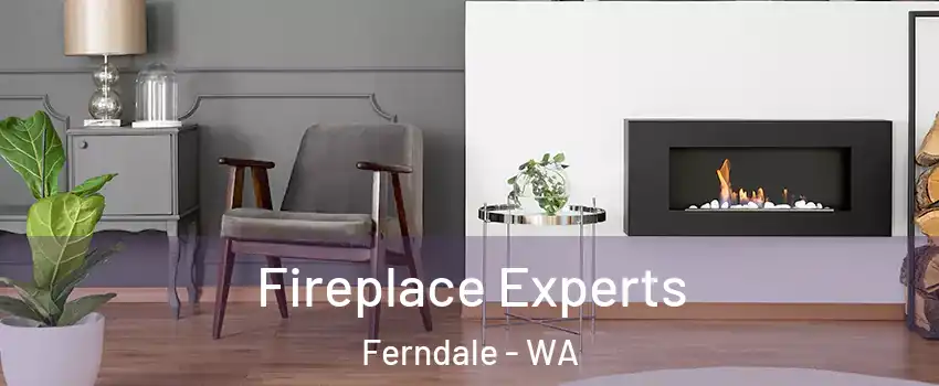 Fireplace Experts Ferndale - WA