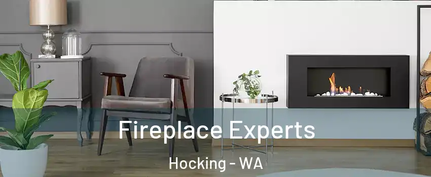 Fireplace Experts Hocking - WA