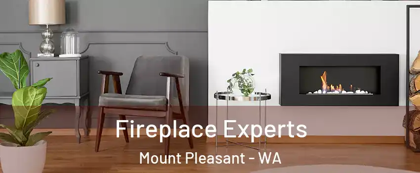 Fireplace Experts Mount Pleasant - WA