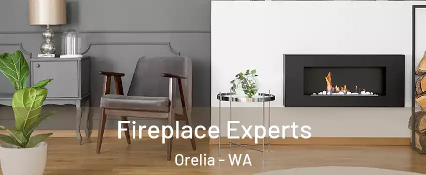 Fireplace Experts Orelia - WA