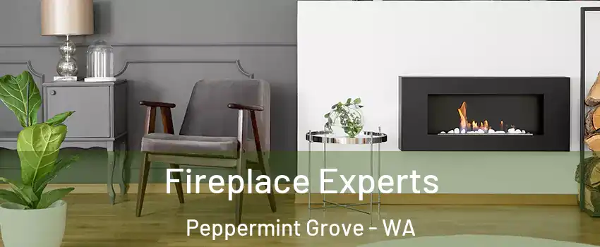 Fireplace Experts Peppermint Grove - WA