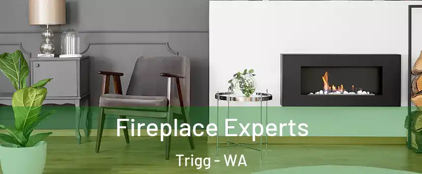 Fireplace Experts Trigg - WA