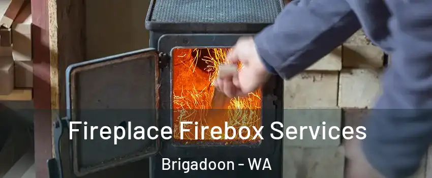 Fireplace Firebox Services Brigadoon - WA