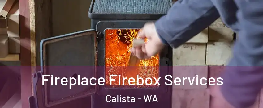 Fireplace Firebox Services Calista - WA