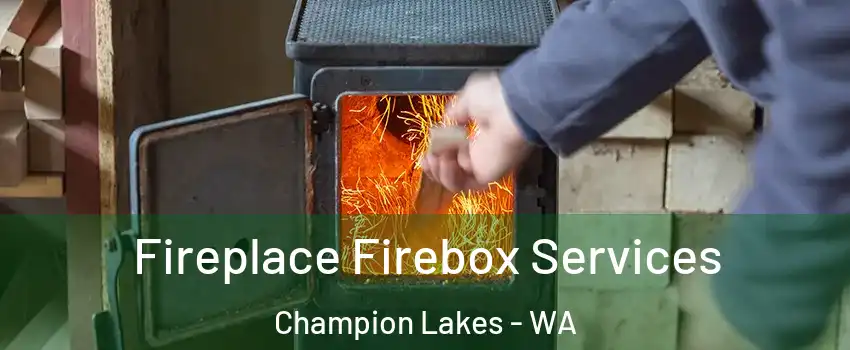 Fireplace Firebox Services Champion Lakes - WA