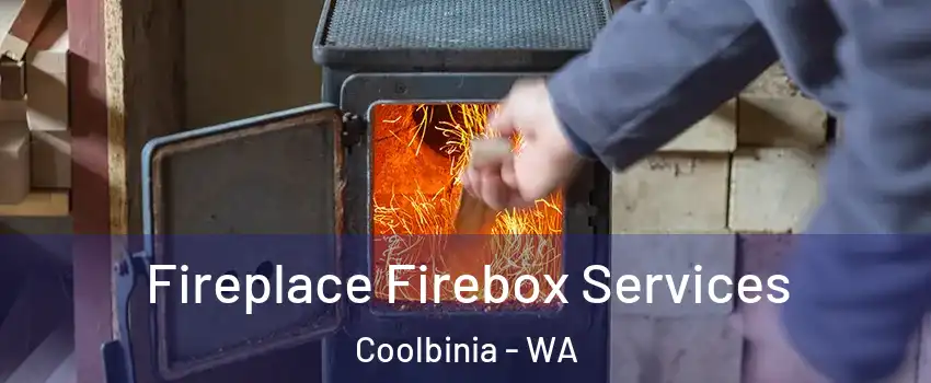 Fireplace Firebox Services Coolbinia - WA