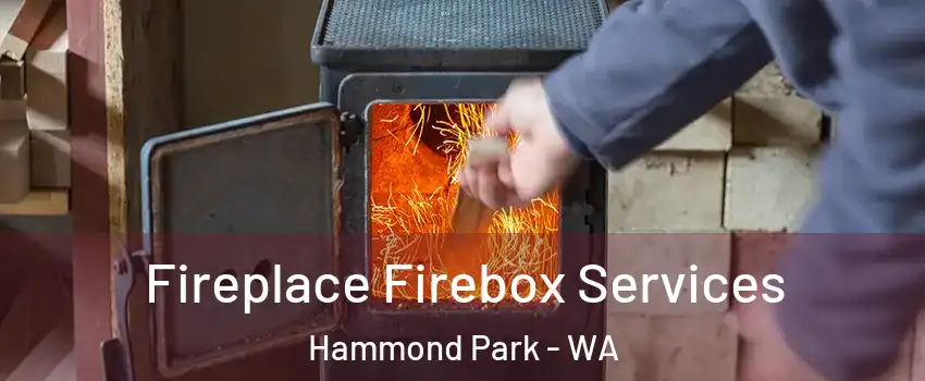 Fireplace Firebox Services Hammond Park - WA