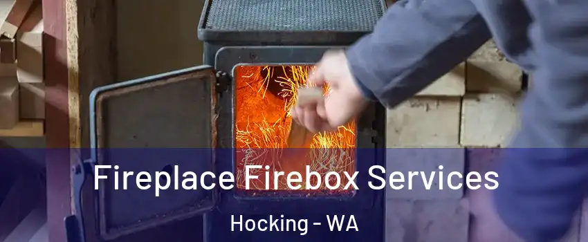 Fireplace Firebox Services Hocking - WA