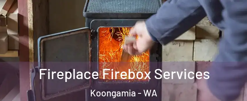 Fireplace Firebox Services Koongamia - WA