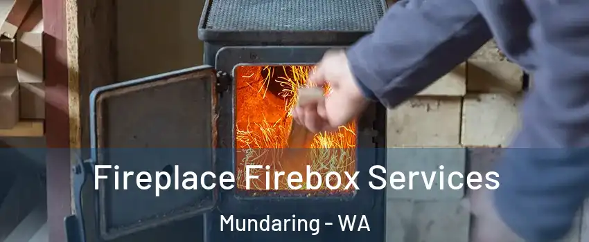 Fireplace Firebox Services Mundaring - WA