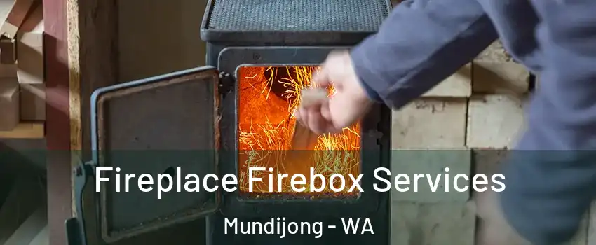 Fireplace Firebox Services Mundijong - WA