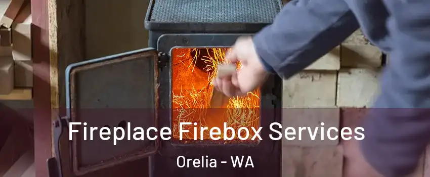 Fireplace Firebox Services Orelia - WA