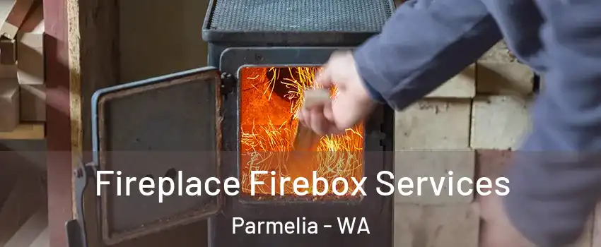 Fireplace Firebox Services Parmelia - WA