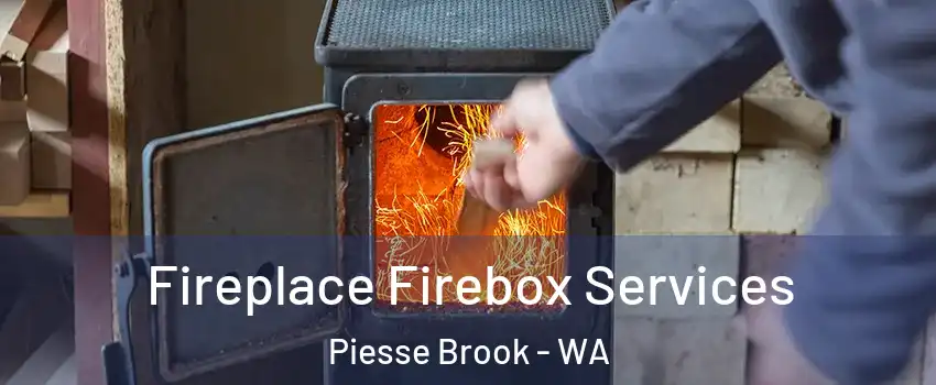Fireplace Firebox Services Piesse Brook - WA