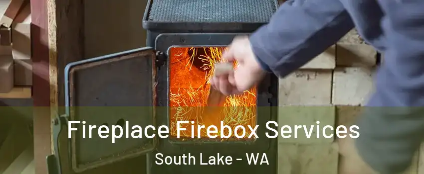 Fireplace Firebox Services South Lake - WA