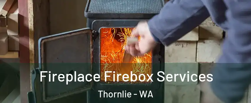 Fireplace Firebox Services Thornlie - WA