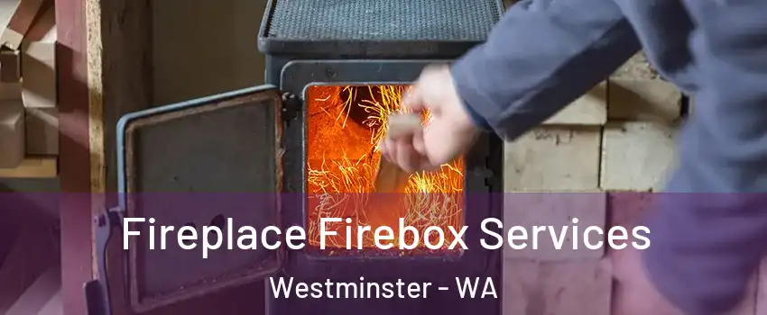Fireplace Firebox Services Westminster - WA
